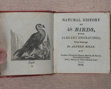 Load image into Gallery viewer, Miniature Historic Library, in Eight volumes. Early illustrated miniature children's books in oak chest. Alfred Mills. Darton and Harvey. London. 1807-