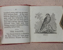 Load image into Gallery viewer, Miniature Historic Library, in Eight volumes. Early illustrated miniature children's books in oak chest. Alfred Mills. Darton and Harvey. London. 1807-