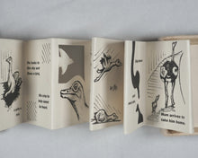 Load image into Gallery viewer, Berwick, Andrew, writen and illustrated by. The Lost Ostrich. Self-published. 2010.
