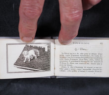 Load image into Gallery viewer, Petit Naturaliste. Marcilly. Rue St. Jacques, no. 10. Paris. 1829.