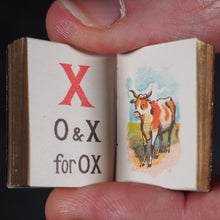 Load image into Gallery viewer, My Tiny Alphabet Book Bryce, David & Son. Glasgow. 1896. 2volumes in one.