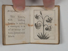 Load image into Gallery viewer, Infant's Library. Marshall, John. No. 4 Aldermary Churchyard in Watling Street. London. Circa 1800.