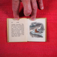Load image into Gallery viewer, Voyages et aventures de Bob l'écureuil. Texte traduit de l'anglais. >>MINIATURE FRENCH BOOK OF A SQUIRREL<< Publication Date: 1834 CONDITION: VERY GOOD