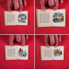 Load image into Gallery viewer, Voyages et aventures de Bob l'écureuil. Texte traduit de l'anglais. >>MINIATURE FRENCH BOOK OF A SQUIRREL<< Publication Date: 1834 CONDITION: VERY GOOD
