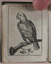 Load image into Gallery viewer, Marshall, John. Infant's Library. [Book 8] (Birds). Marshall, John. No. 4 Aldermary Churchyard in Watling Street. London. Circa 1800
