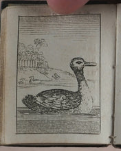 Load image into Gallery viewer, Marshall, John. Infant's Library. [Book 8] (Birds). Marshall, John. No. 4 Aldermary Churchyard in Watling Street. London. Circa 1800
