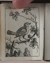 Load image into Gallery viewer, Marshall, John. Infant's Library. [Book 8] (Birds). Marshall, John. No. 4 Aldermary Churchyard in Watling Street. London. Circa 1800
