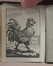 Load image into Gallery viewer, Marshall, John. Infant's Library. [Book 8] (Birds). Marshall, John. No. 4 Aldermary Churchyard in Watling Street. London. Circa 1800
