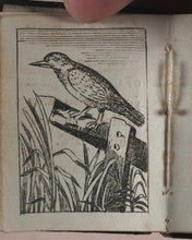 Load image into Gallery viewer, Marshall, John. Infant's Library. [Book 8] (Birds). Marshall, John. No. 4 Aldermary Churchyard in Watling Street. London. Circa 1800
