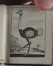 Load image into Gallery viewer, Marshall, John. Infant's Library. [Book 8] (Birds). Marshall, John. No. 4 Aldermary Churchyard in Watling Street. London. Circa 1800
