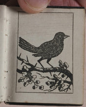 Load image into Gallery viewer, Marshall, John. Infant's Library. [Book 8] (Birds). Marshall, John. No. 4 Aldermary Churchyard in Watling Street. London. Circa 1800
