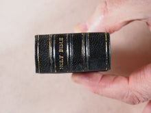 Load image into Gallery viewer, Holy Bible containing Old and New testaments. Bryce, David &amp; Son. Glasgow. 1902. Coronation of Edward vii and Queen Alexandra, 1901. >>Miniature Coronation Bible<<
