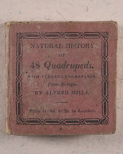 Load image into Gallery viewer, Mills, Alfred. Natural History of 48 Quadrupeds. Darton, Harvey &amp; Darton and J. Harris. London. 1815.
