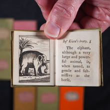 Load image into Gallery viewer, Infant's Library. Marshall, John. Circa 1800. 16 volumes. Complete with original sycamore bookcase.
