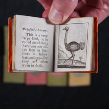 Load image into Gallery viewer, Infant's Library. Marshall, John. Circa 1800. 16 volumes. Complete with original sycamore bookcase.
