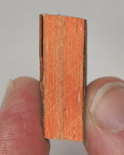 Load image into Gallery viewer, Bryce, David &amp; Son. Glasgow. Advertising. Smallest English Dictionary in the World. Sydney Curio Shop promotional. Circa 1896.
