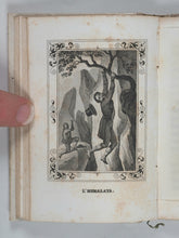 Load image into Gallery viewer, Bibliothèque Amusante de la Jeunesse. Aventures. Marcilly aîné, Rue St. Jacques no. 10. Paris. Circa 1838.
