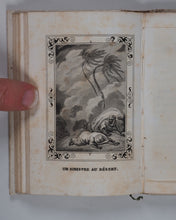 Load image into Gallery viewer, Bibliothèque Amusante de la Jeunesse. Aventures. Marcilly aîné, Rue St. Jacques no. 10. Paris. Circa 1838.
