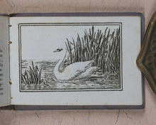 Load image into Gallery viewer, Petit Naturaliste. Marcilly. Rue St. Jacques, no. 10. Paris. No date but 1829.
