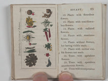 Load image into Gallery viewer, Book-case of Knowledge, or Library for Youth]. Wallis, John. Cundee, J. [or T. Gillet], printers. London. 1800-1803.2
