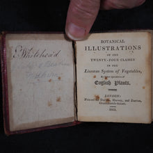 Load image into Gallery viewer, [Forster, Benjamin Meggott]. Botanical Illustrations of the Twenty-Four Classes in the Linnaean System of Vegetables, by Select Specimens of English Plants. Darton, Harvey, and Darton London. 1813.
