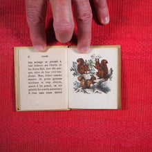 Load image into Gallery viewer, Voyages et aventures de Bob l'écureuil. Texte traduit de l'anglais. >>MINIATURE FRENCH BOOK OF A SQUIRREL<< Publication Date: 1834 CONDITION: VERY GOOD
