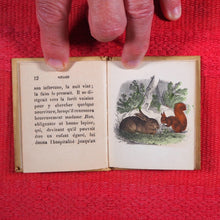 Load image into Gallery viewer, Voyages et aventures de Bob l'écureuil. Texte traduit de l'anglais. >>MINIATURE FRENCH BOOK OF A SQUIRREL<< Publication Date: 1834 CONDITION: VERY GOOD
