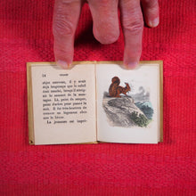 Load image into Gallery viewer, Voyages et aventures de Bob l'écureuil. Texte traduit de l'anglais. >>MINIATURE FRENCH BOOK OF A SQUIRREL<< Publication Date: 1834 CONDITION: VERY GOOD
