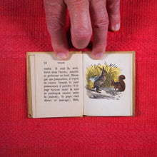 Load image into Gallery viewer, Voyages et aventures de Bob l'écureuil. Texte traduit de l'anglais. >>MINIATURE FRENCH BOOK OF A SQUIRREL<< Publication Date: 1834 CONDITION: VERY GOOD
