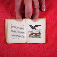 Load image into Gallery viewer, Voyages et aventures de Bob l'écureuil. Texte traduit de l'anglais. >>MINIATURE FRENCH BOOK OF A SQUIRREL<< Publication Date: 1834 CONDITION: VERY GOOD
