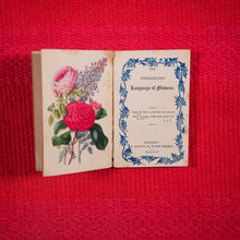 Load image into Gallery viewer, Emblematic Language of Flowers. >>ENCHANTING HARLEQUIN BORDERS<< Publication Date: 1844 CONDITION: GOOD
